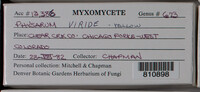 Image Associated With the Occurence